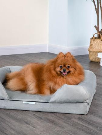 Go pet club solid memory foam outlet orthopedic pet bed with waterproof cover