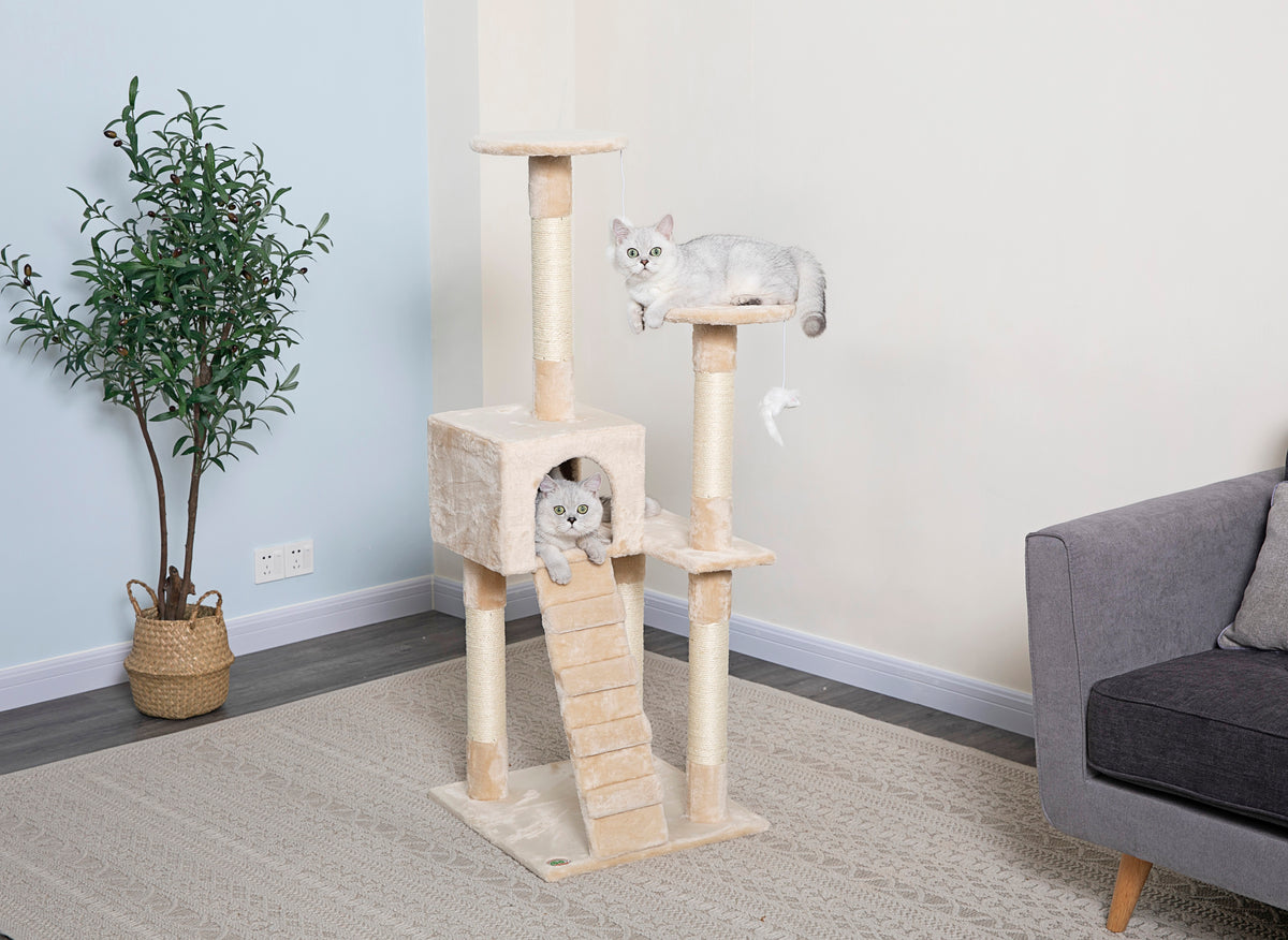 52 inch clearance cat tree