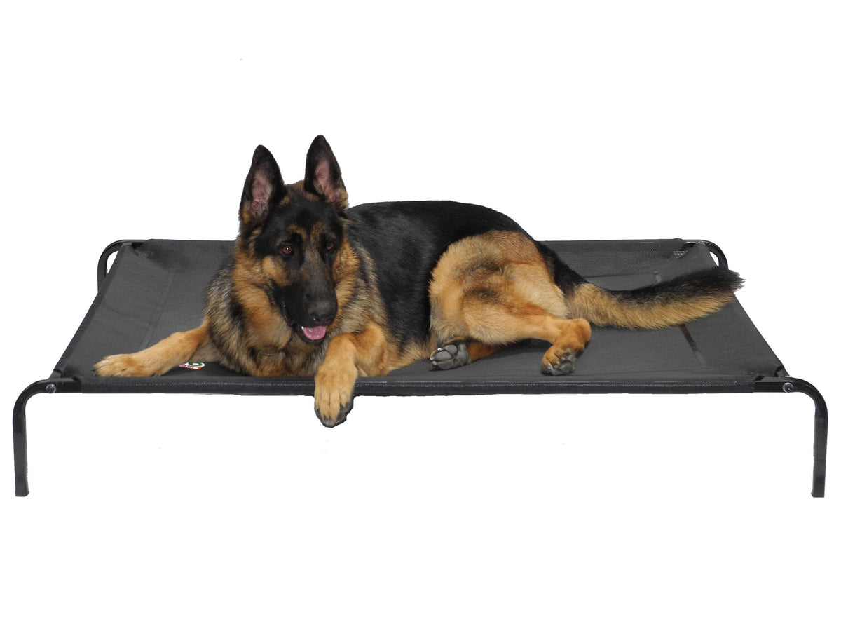 Lifestyle Pet Cot Elevated Bed, No Assembly Required, Premium Tear  Resistant Cooling Mesh, Indoor & Outdoor, Lightweight & Portable, 3 Models,  2