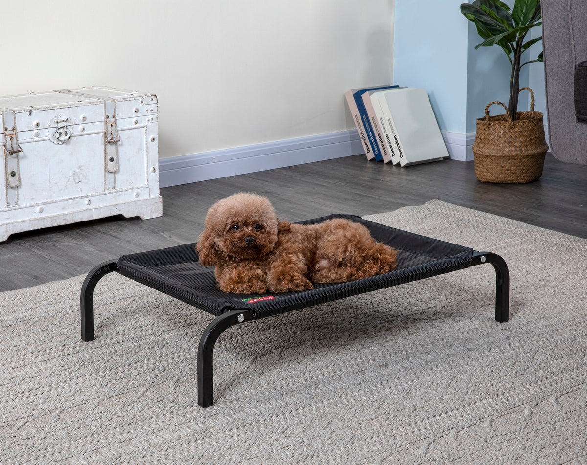 Lifestyle Pet Cot Elevated Bed, No Assembly Required, Premium Tear  Resistant Cooling Mesh, Indoor & Outdoor, Lightweight & Portable, 3 Models,  2