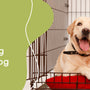 Tips for Crate Training Your Dog