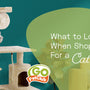 What to Look For When Shopping For a Cat Tree
