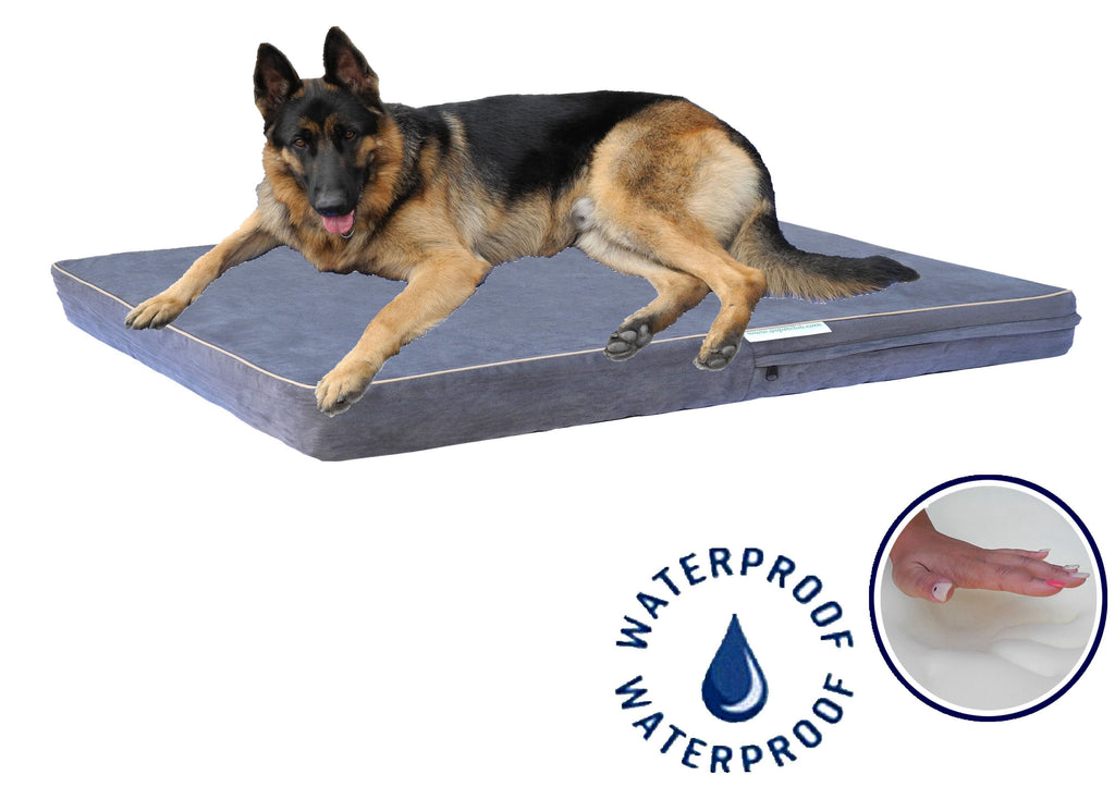 4 Solid Memory Foam Bed with Waterproof Cover (Available in 25